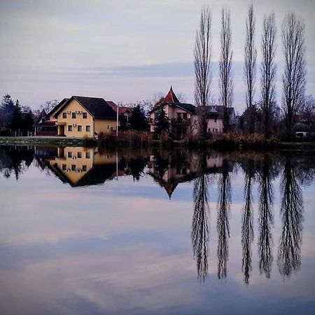 Guest House Vila Alexandar Палич Екстер'єр фото